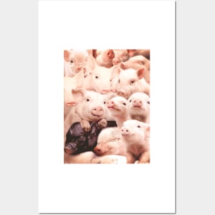 Pigs Posters and Art